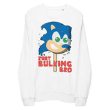 Just Bulking Bro Hedgehog Popsicle Video Game Gamer Workout Fitness Sweatshirt