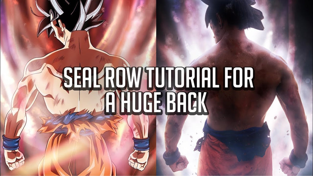 Commercial & Garage Gym Seal Row Tutorial For an Ultra Instinct Back (2019)