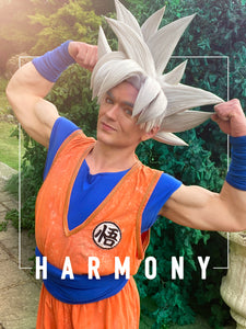 Harmony In All Things: An Ultra Instinct Life (Lessons From DragonBall & Socrates)
