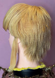 The Legend of Zelda Link Cosplay Wig
