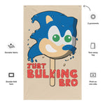 Just Bulking Bro Hedgehog Popsicle Video Game Gamer Workout Fitness Gym Flag Tapestry Poster